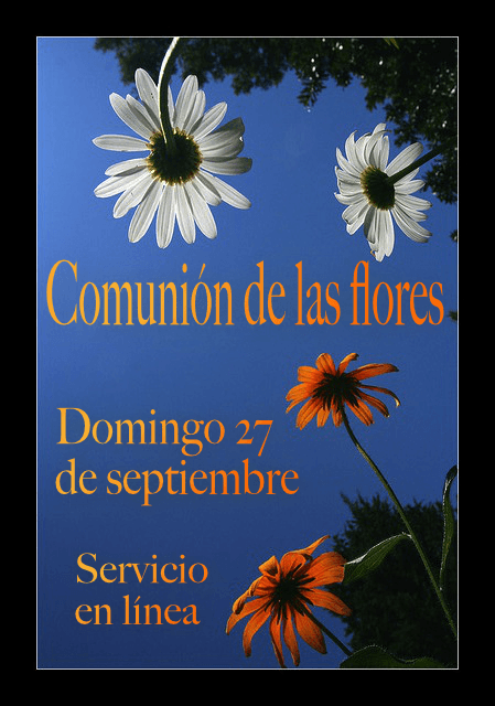 Comunión de las flores