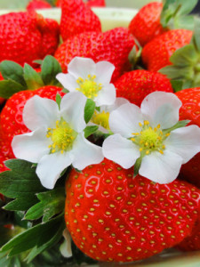 strawberries