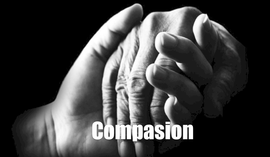 Compasión: el camino hacia la equidad y justicia (Video)