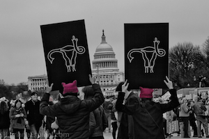 Marcha del millon de mujeres- Washington, Enero 2017